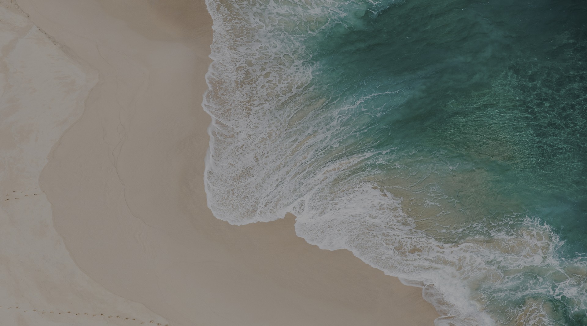 Section Background